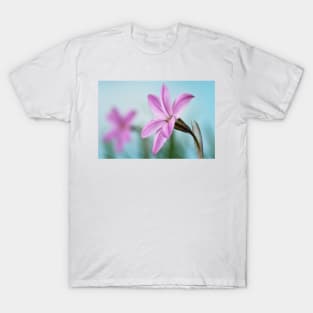 Ipheion  &#39;Tessa&#39;  Spring starflower T-Shirt